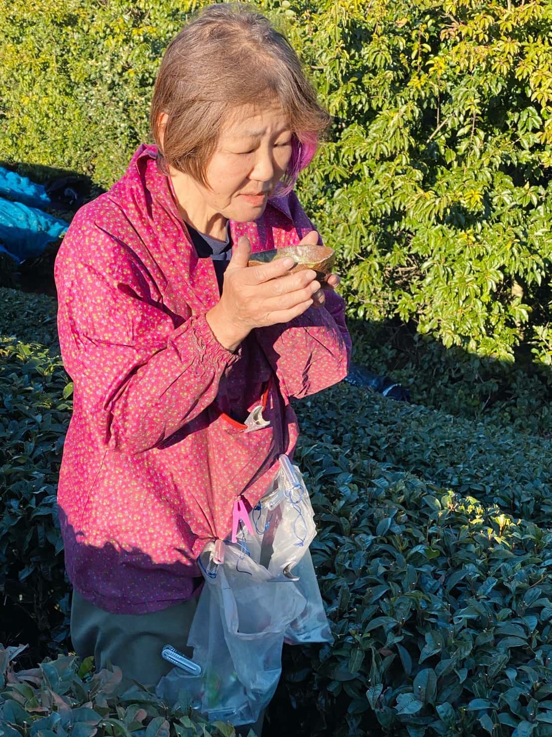 Tasting tea on the tea farm