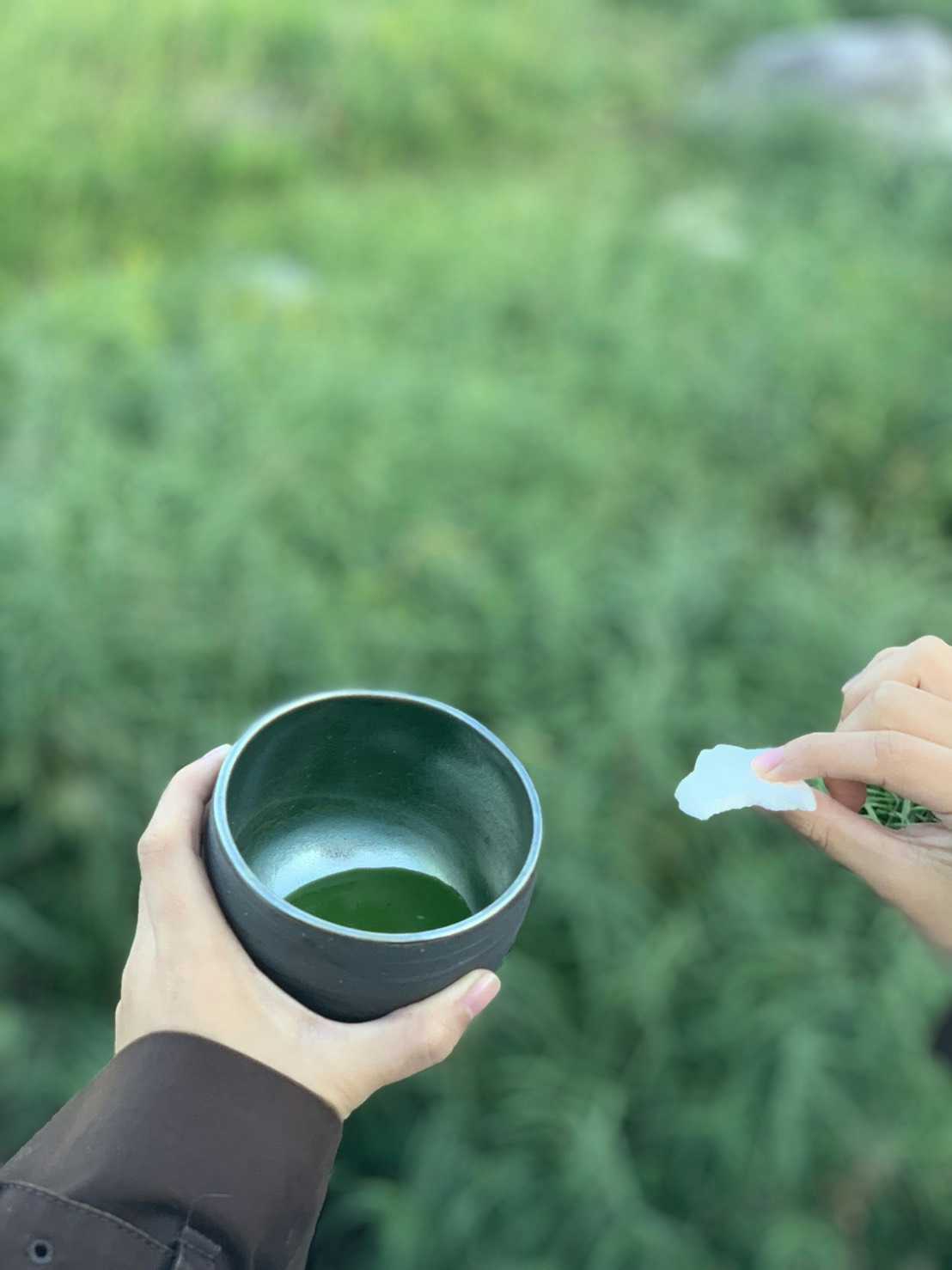 Tasting tea on the tea farm
