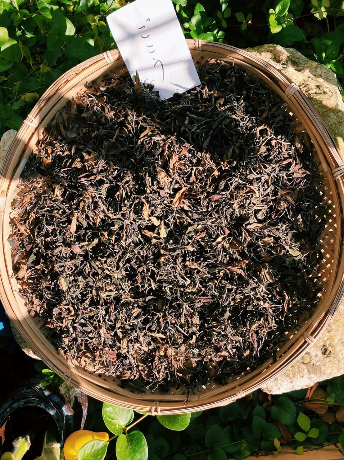 Drying tea leaves